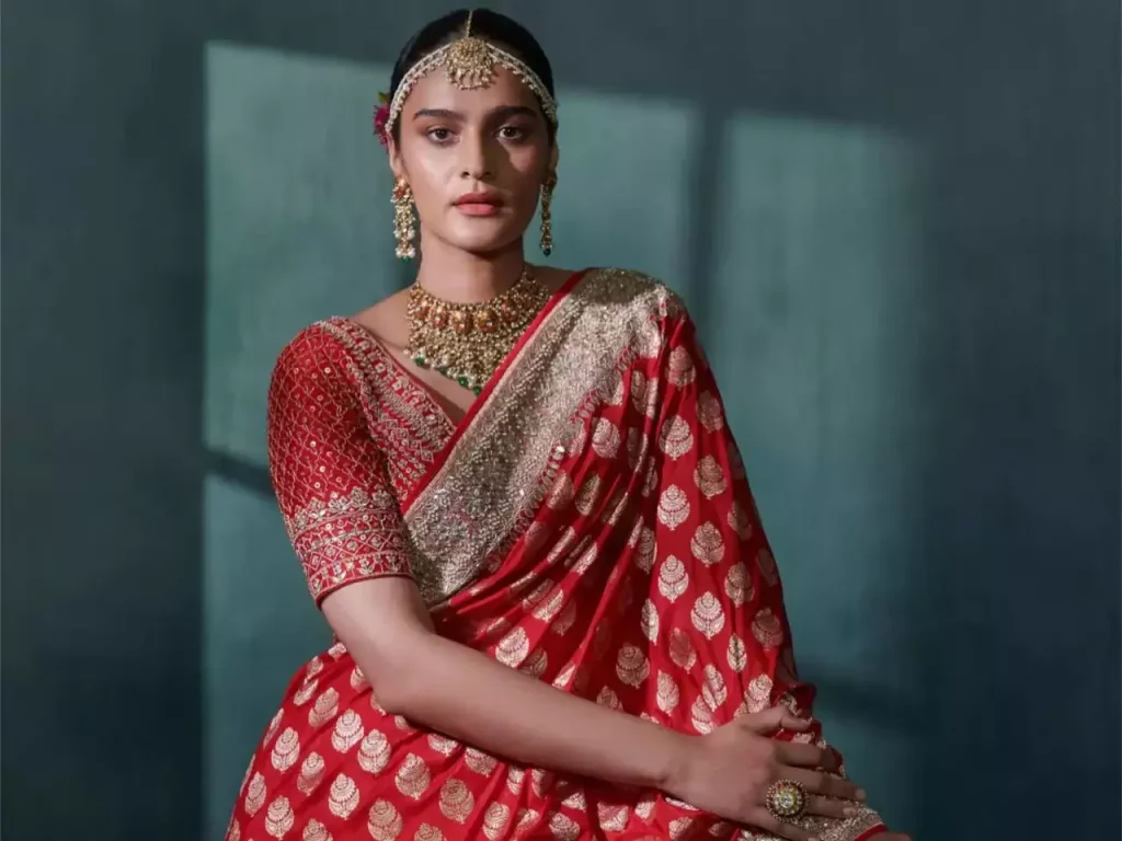 Every part You Want To Know About The Banarasi Saree Every part You Want To Know About The Banarasi Saree