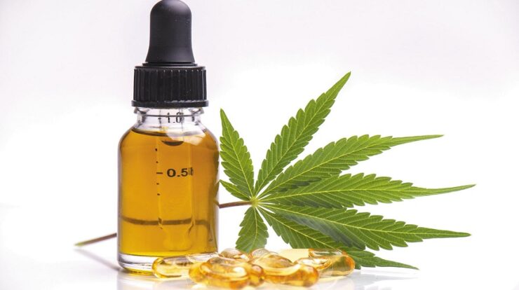 How CBD Can Assist Enhance the Wellbeing of Your Pets