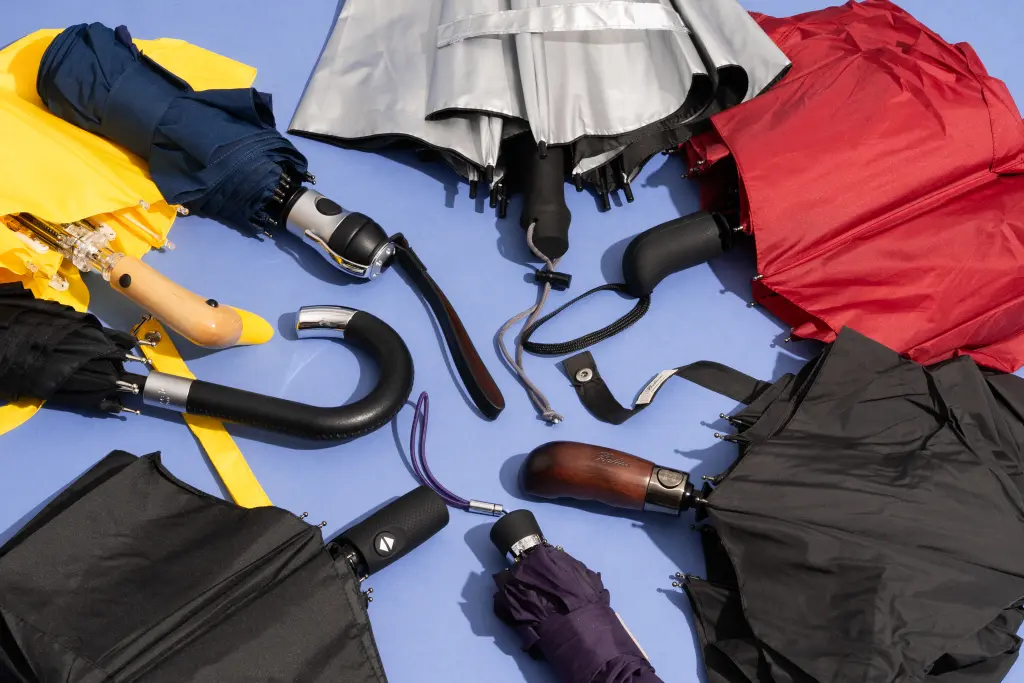 Go Wherever Dry With An Umbrella That’s Small However Extremely Robust